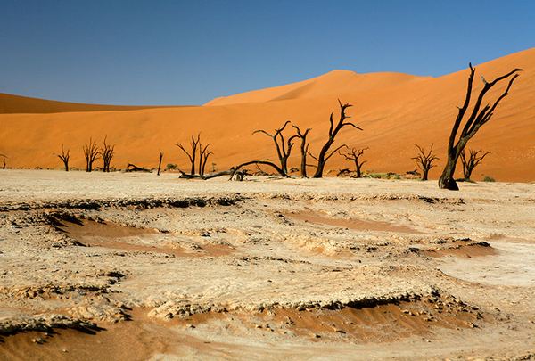 Southern Namibian landscape photo 10