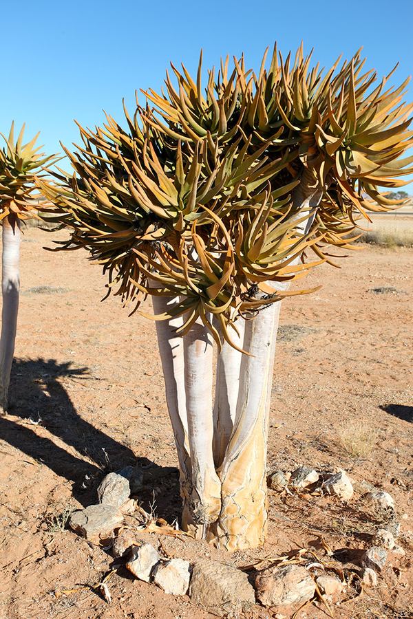 Scenery around Grünau photo 1