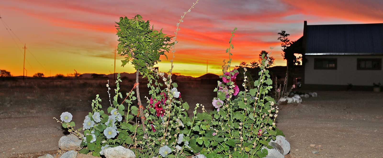 Namibian sunset over the garden at Grünau Chalets